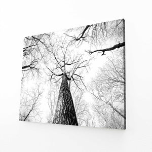 Perspective Graphique Tableau Arbre | TableauDecoModerne®