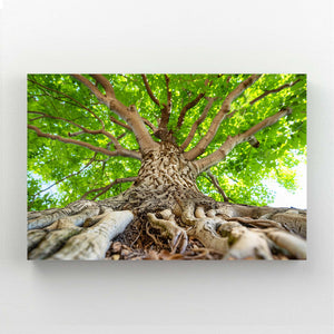 Racines Majestueuses Tableau Arbre | TableauDecoModerne®