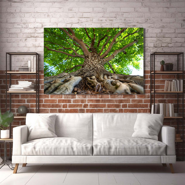 Racines Majestueuses Tableau Arbre | TableauDecoModerne®