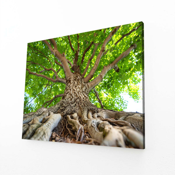 Racines Majestueuses Tableau Arbre | TableauDecoModerne®