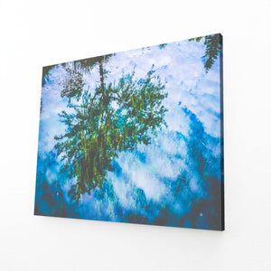 Reflet Céleste Tableau Arbre | TableauDecoModerne®