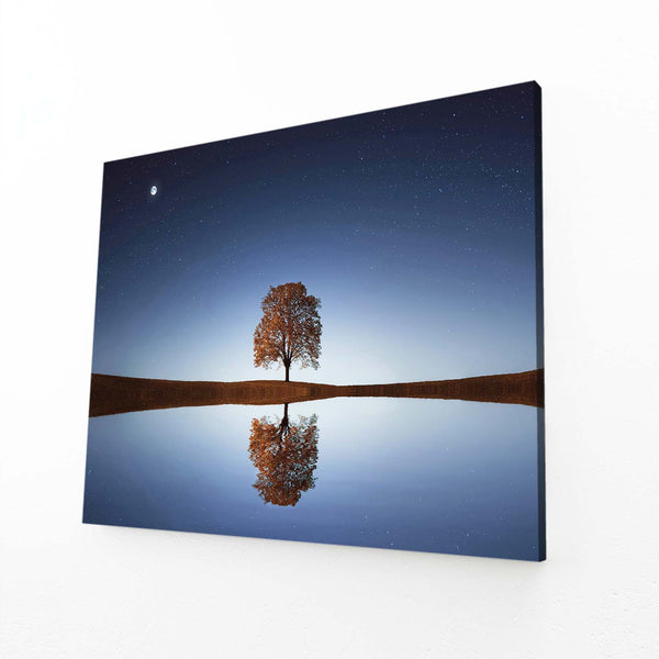 Reflet Étoilé Tableau Arbre | TableauDecoModerne®