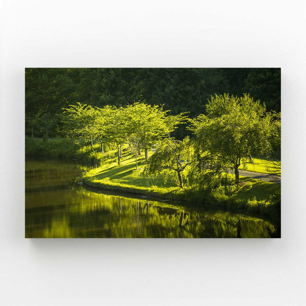 Reflets Verdoyants Tableau Arbre | TableauDecoModerne®