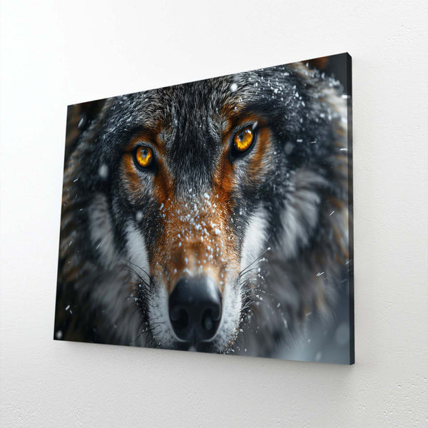 Regard Loup Tableau | TableauDecoModerne®