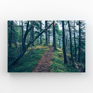 Sentier Forestier Tableau Arbre | TableauDecoModerne®