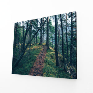 Sentier Forestier Tableau Arbre | TableauDecoModerne®