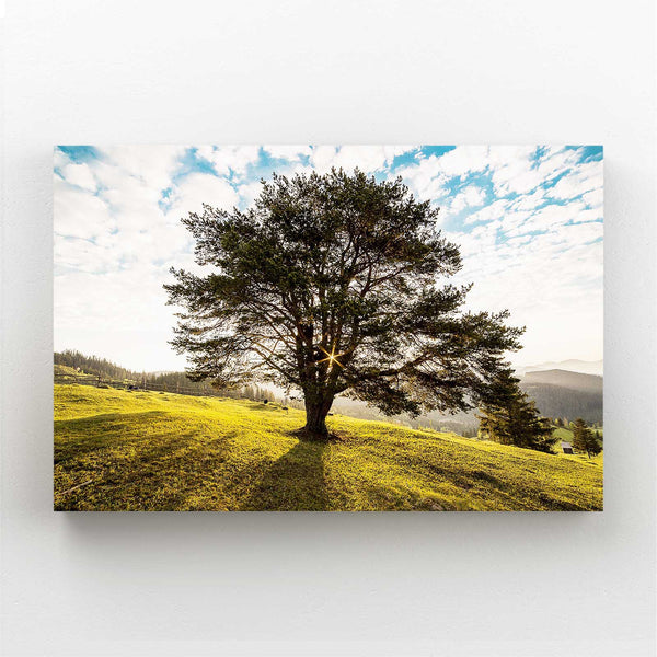 Soleil d'Aube Tableau Arbre | TableauDecoModerne®