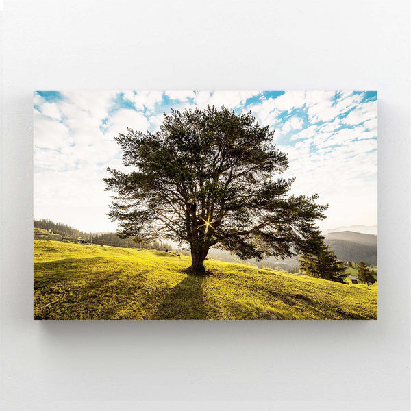 Soleil Radieux Tableau Arbre | TableauDecoModerne®