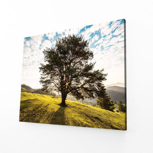 Soleil Radieux Tableau Arbre | TableauDecoModerne®