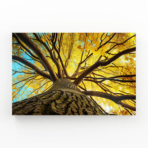 Soleil Tableau Arbre | TableauDecoModerne®