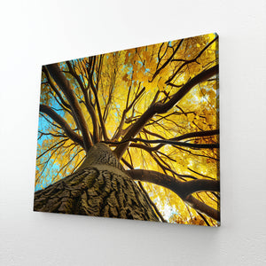 Soleil Tableau Arbre | TableauDecoModerne®