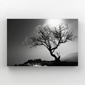 Solitaire Tableau Arbre | TableauDecoModerne®