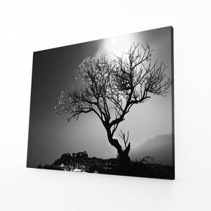 Solitaire Tableau Arbre | TableauDecoModerne®