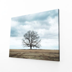 Solitude Sérénité Tableau Arbre | TableauDecoModerne®