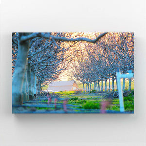 Tableau Arbre Allée Champêtre | TableauDecoModerne®