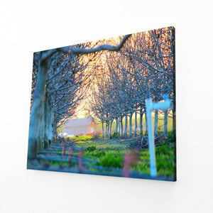 Tableau Arbre Allée Champêtre | TableauDecoModerne®