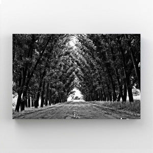 Tableau Arbre Allée Sombre | TableauDecoModerne®