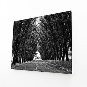 Tableau Arbre Allée Sombre | TableauDecoModerne®