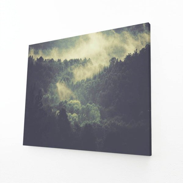 Tableau Arbre Brume Matinale | TableauDecoModerne®