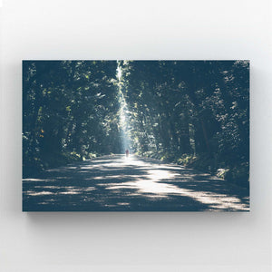 Tableau Arbre Chemin Lumineux | TableauDecoModerne®