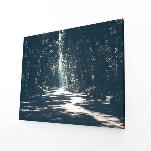 Tableau Arbre Chemin Lumineux | TableauDecoModerne®