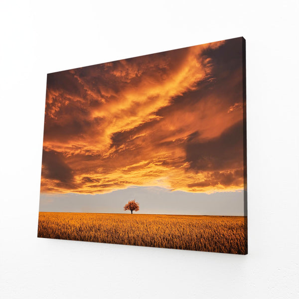 Tableau Arbre Coucher de Soleil | TableauDecoModerne®