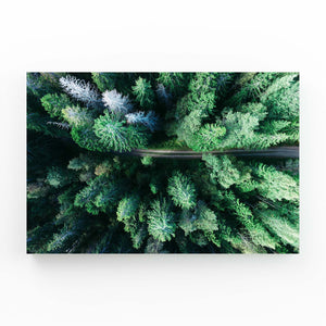 Tableau Arbre Forêt Aérienne | TableauDecoModerne®