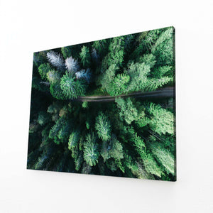 Tableau Arbre Forêt Aérienne | TableauDecoModerne®