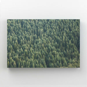 Tableau Arbre Forêt Dense | TableauDecoModerne®