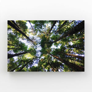 Tableau Arbre Forêt Élevée | TableauDecoModerne®