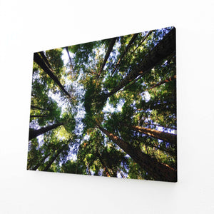 Tableau Arbre Forêt Élevée | TableauDecoModerne®