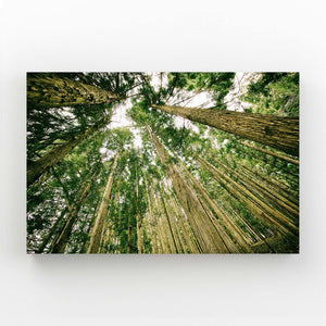 Tableau Arbre Forêt Immense | TableauDecoModerne®