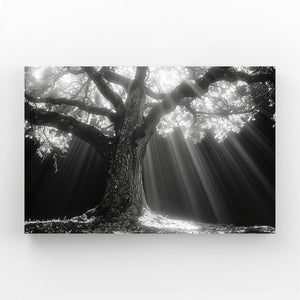 Tableau Arbre Lumière Divine | TableauDecoModerne®