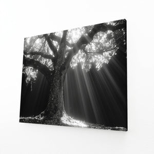 Tableau Arbre Lumière Divine | TableauDecoModerne®