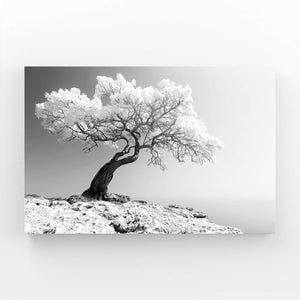 Tableau Arbre Neige | TableauDecoModerne®