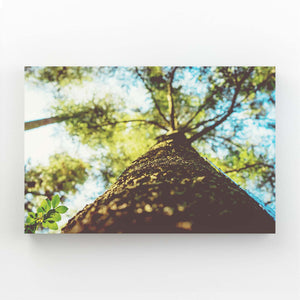 Tableau Arbre Perspective Naturelle | TableauDecoModerne®