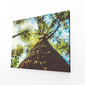 Tableau Arbre Perspective Naturelle | TableauDecoModerne®