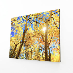 Tableau Arbre Soleil Doré | TableauDecoModerne®