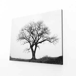 Tableau Arbre Solitude | TableauDecoModerne®