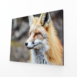 Tableau Renard Majestueux | TableauDecoModerne®