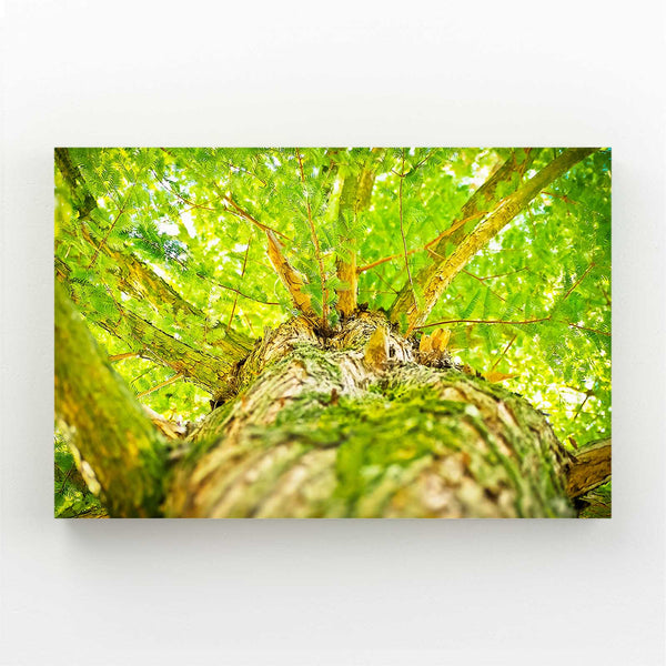 Verdoyant Tableau Arbre | TableauDecoModerne®