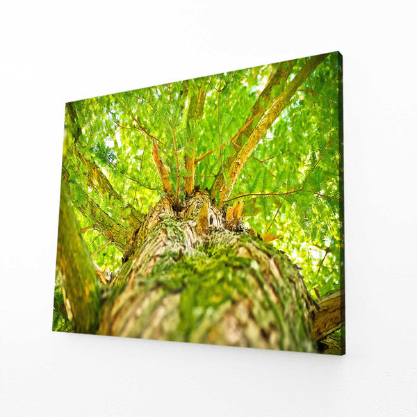 Verdoyant Tableau Arbre | TableauDecoModerne®