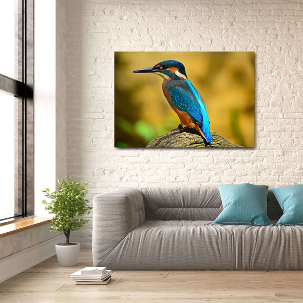 Tableau Colibri | TableauDecoModerne®