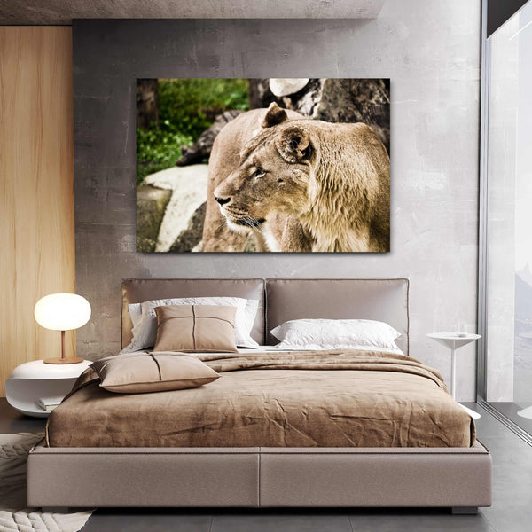 Tableau Lionne | TableauDecoModerne®